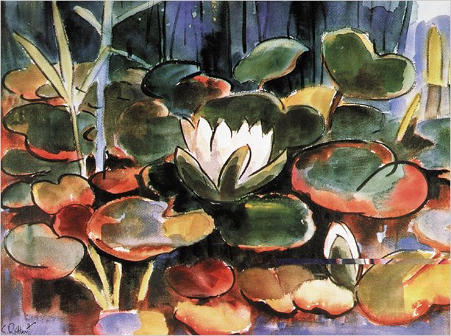 Waterlilies