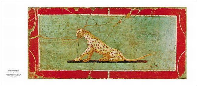 Frescoed leopard