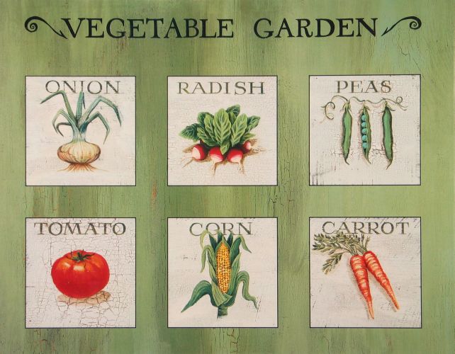 Vegetable garden