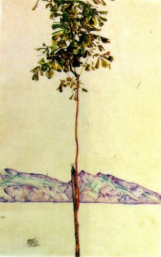 Piccolo albero