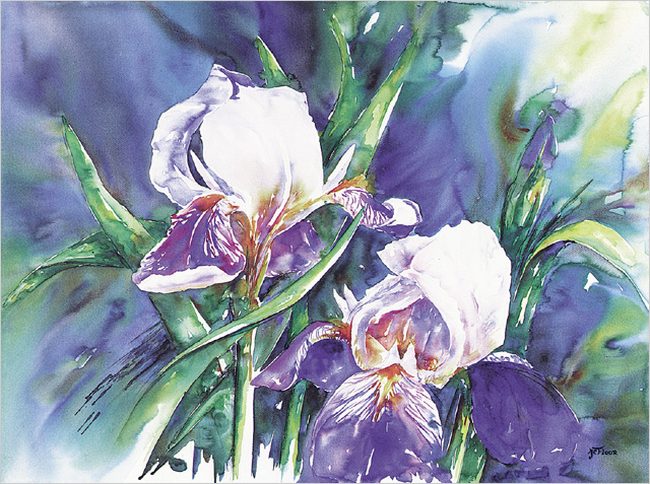 Irises