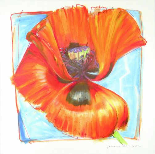 Papaver I