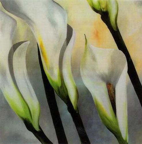 Calla Lily I