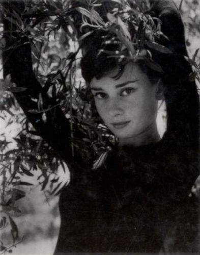 Audrey Hepburn