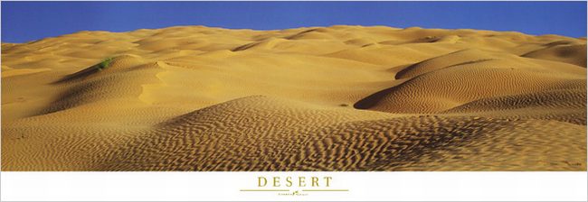 Desert