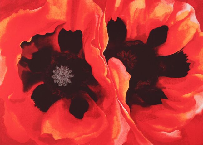 Oriental poppies, 1928