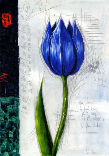 Blue Tulip    2HP