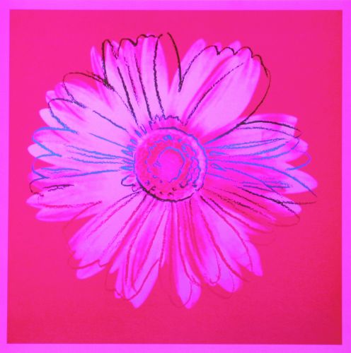 Daisy, c.1982 (crimson and pink)