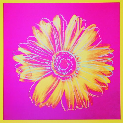 Daisy, c.1982 (fuchsia and yellow)