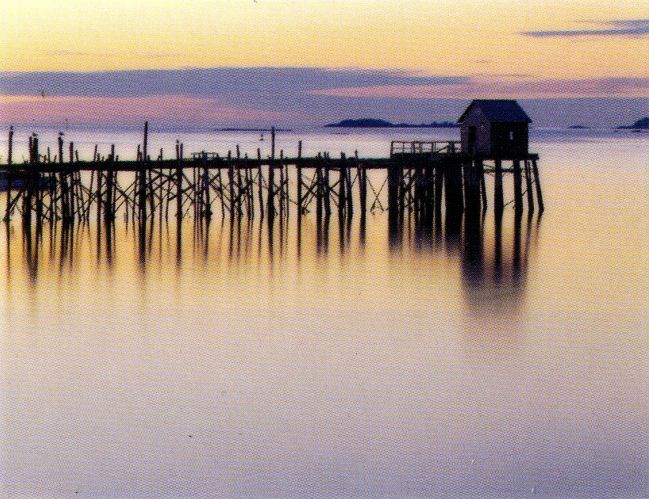 Old warf at dawn