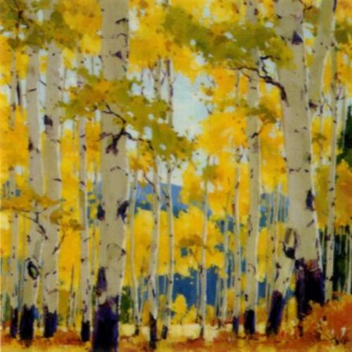 September Aspen