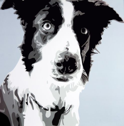 Collie