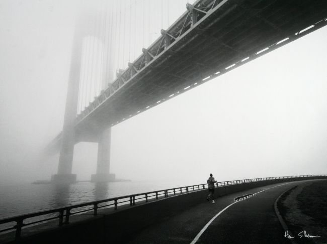 Verrazano Bridge Fogg