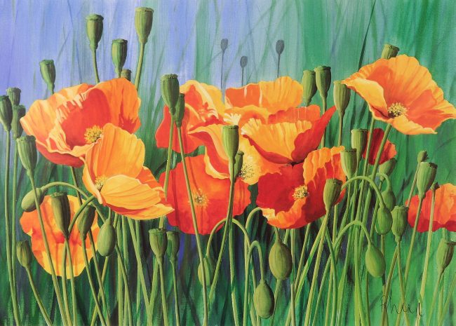 Poppies