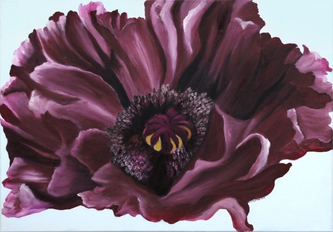 Donkere papaver (olieverf)